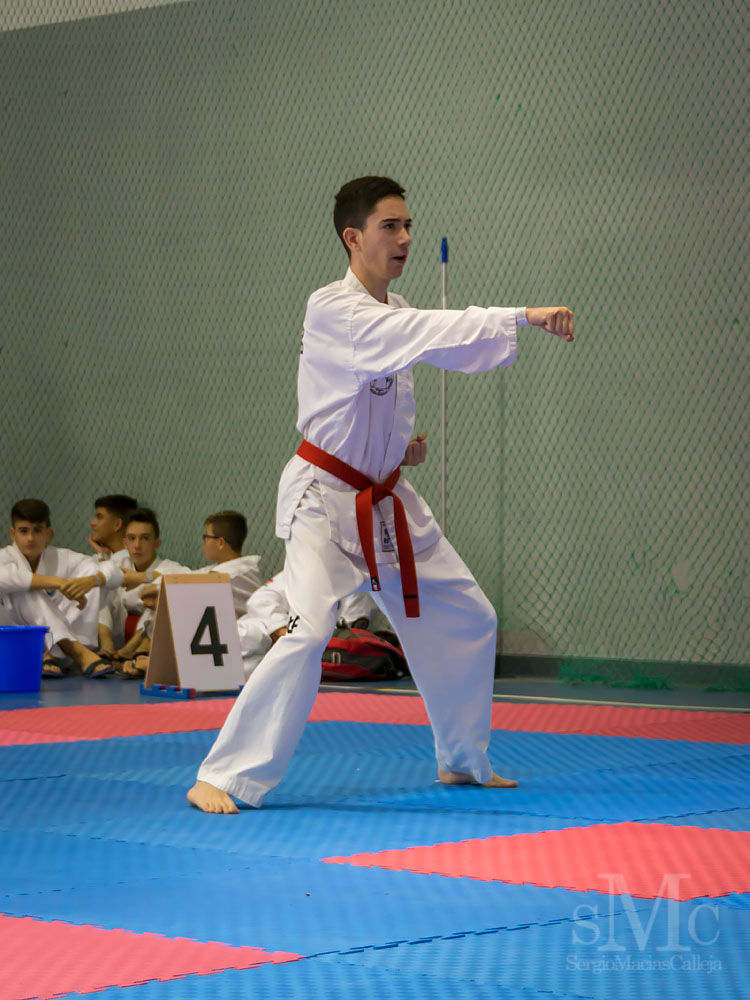 Copa Seul 2018 (113).jpg